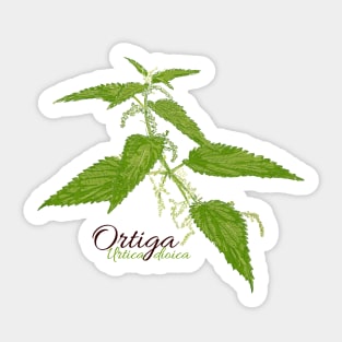 Green nettle in bloom Sticker